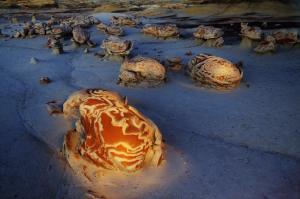 The Egg Factory of the Bisti Wilderness